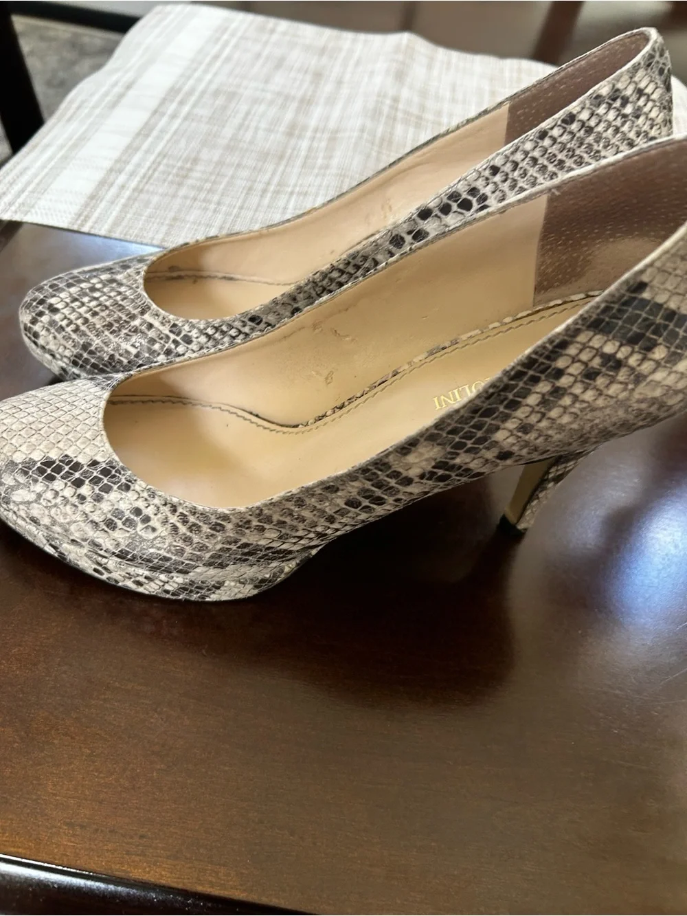 Enzo Angiolini chic snake